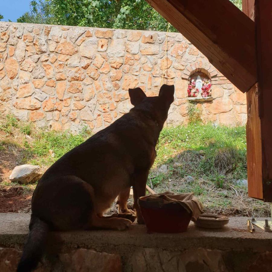 Mary'S Garden Villa Tulisevica ภายนอก รูปภาพ