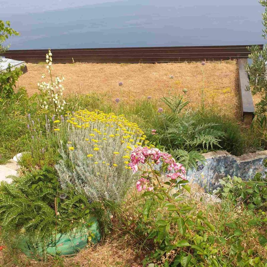 Mary'S Garden Villa Tulisevica ภายนอก รูปภาพ