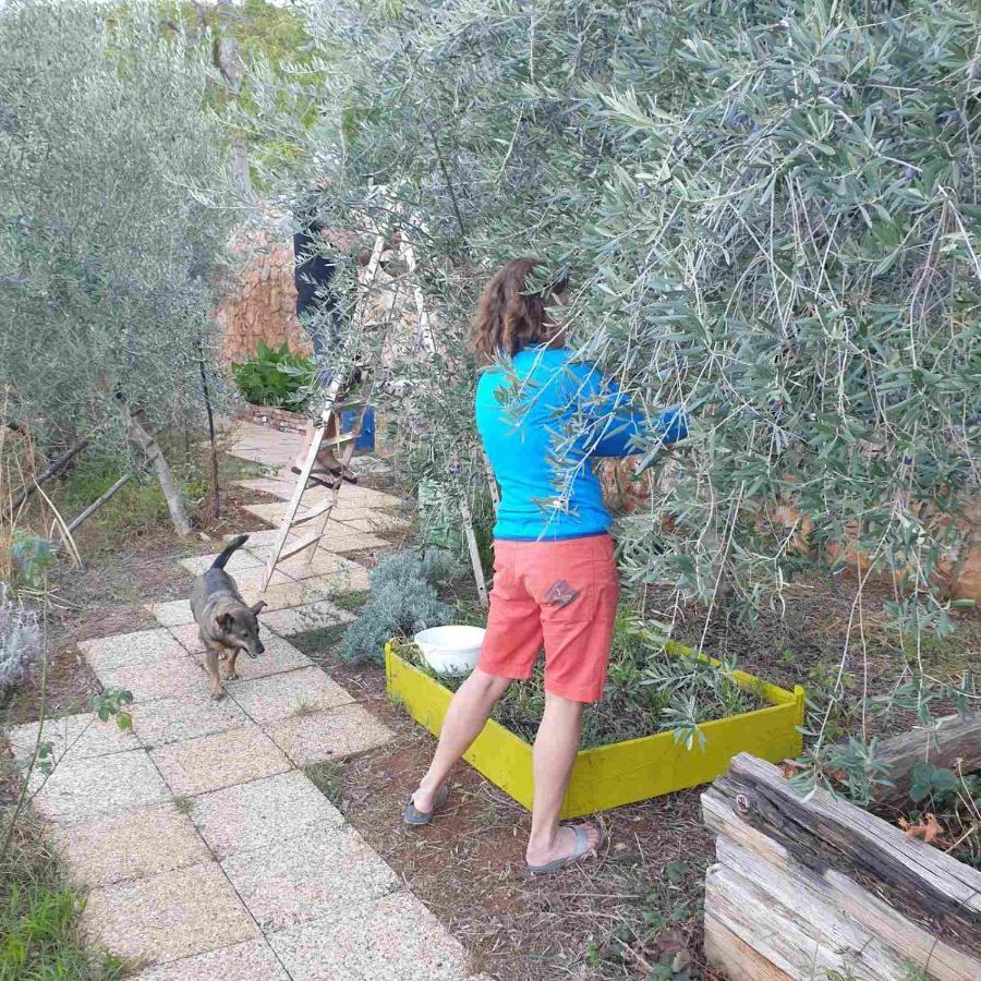 Mary'S Garden Villa Tulisevica ภายนอก รูปภาพ