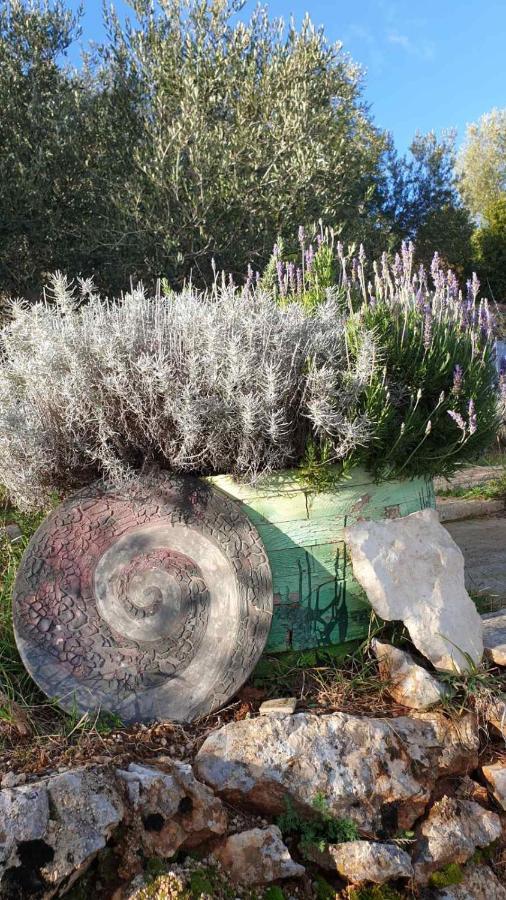 Mary'S Garden Villa Tulisevica ภายนอก รูปภาพ