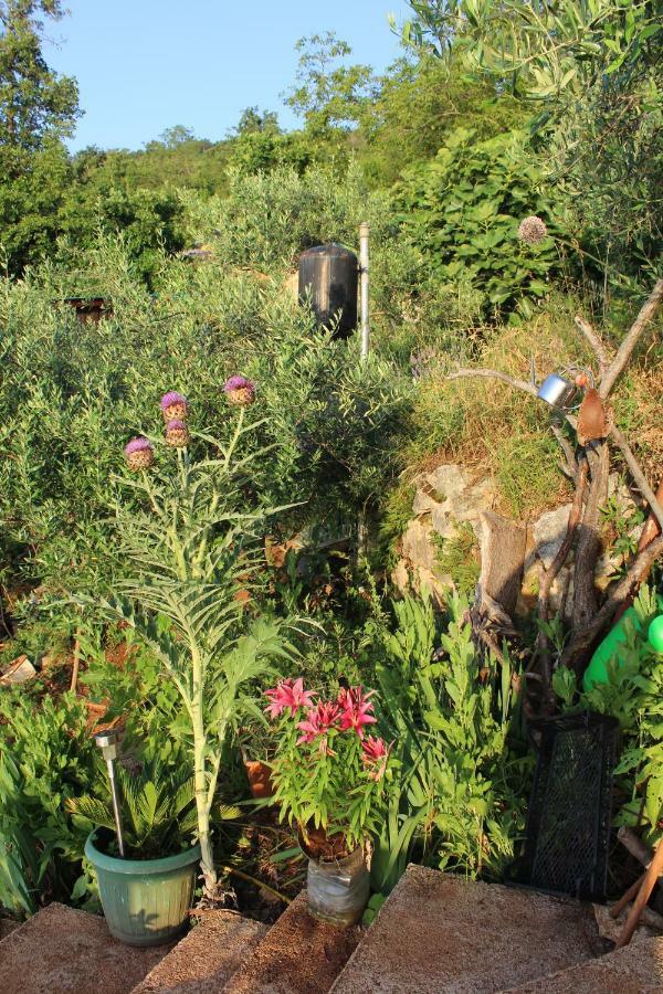 Mary'S Garden Villa Tulisevica ภายนอก รูปภาพ