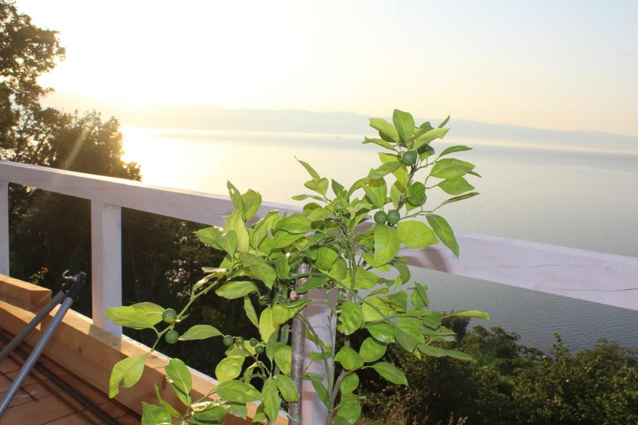 Mary'S Garden Villa Tulisevica ภายนอก รูปภาพ