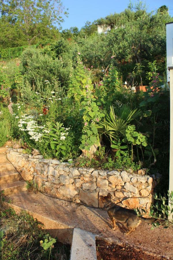 Mary'S Garden Villa Tulisevica ภายนอก รูปภาพ